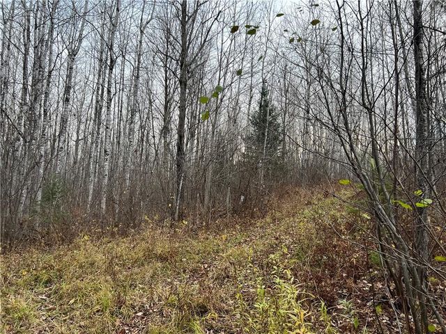 55260 Highway 63, Grand View, WI 54839