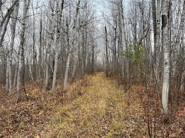 55260 Highway 63, Grand View, WI 54839