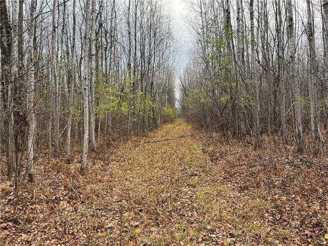 55260 Highway 63, Grand View, WI 54839