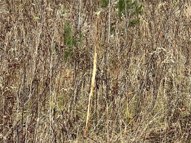 55260 Highway 63, Grand View, WI 54839