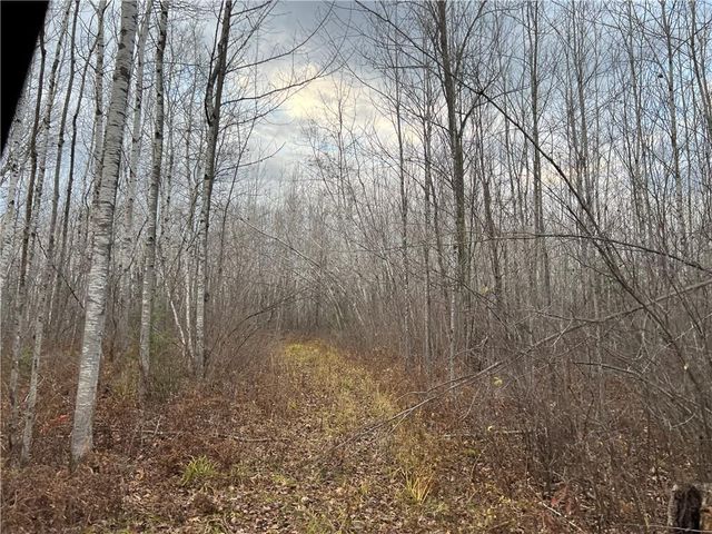 55260 Highway 63, Grand View, WI 54839