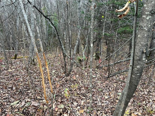 55260 Highway 63, Grand View, WI 54839