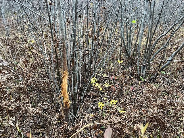 55260 Highway 63, Grand View, WI 54839