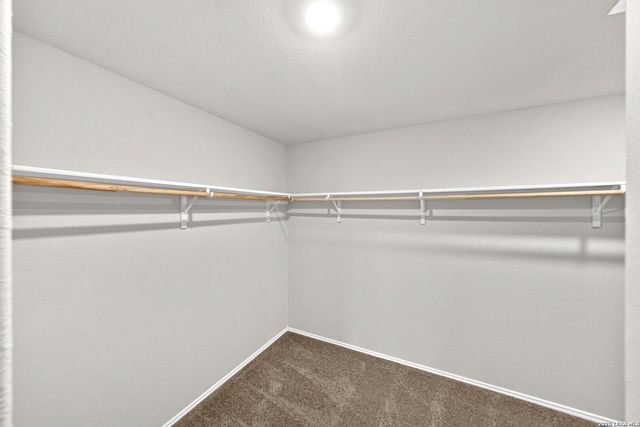 917 Chachalaca, Seguin, TX 78155