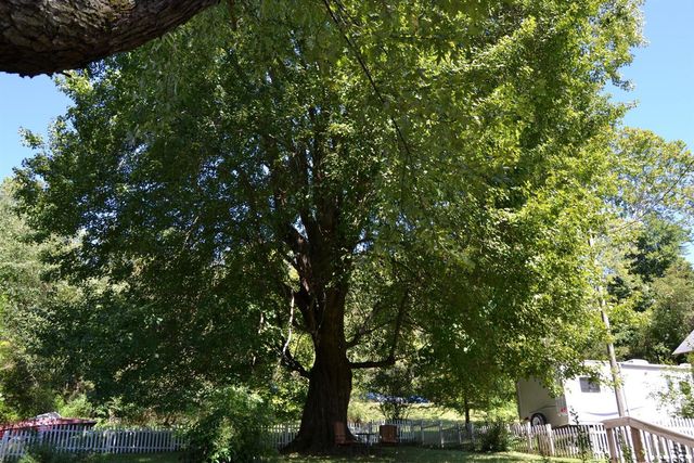 121 E 5th Street, Morehead, KY 40351