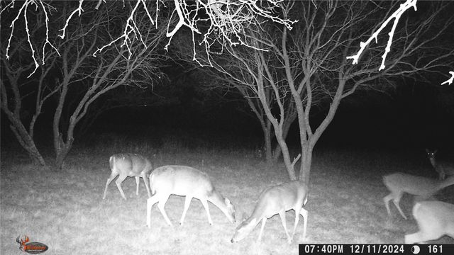 517 County Road 167, Eastland, TX 76448