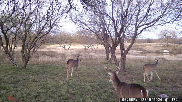 517 County Road 167, Eastland, TX 76448