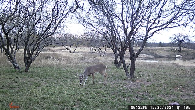 517 County Road 167, Eastland, TX 76448