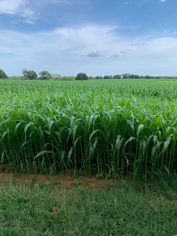 517 County Road 167, Eastland, TX 76448