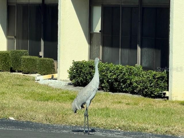 11140 CARRIAGE HILL DRIVE 4, Port Richey, FL 34668