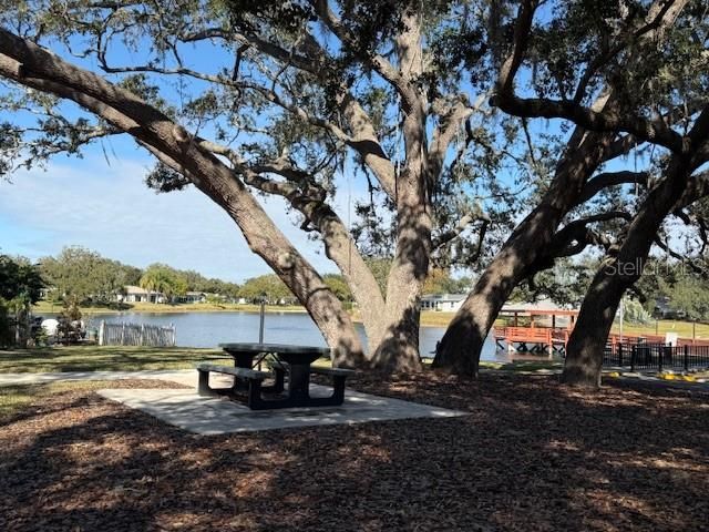 11140 CARRIAGE HILL DRIVE 4, Port Richey, FL 34668