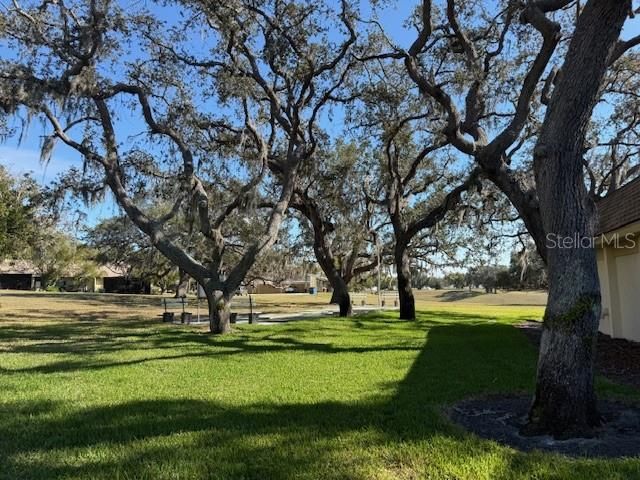 11140 CARRIAGE HILL DRIVE 4, Port Richey, FL 34668