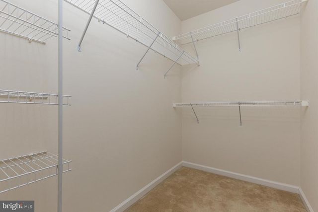 4548 ALLIANCE WAY, Fredericksburg, VA 22408