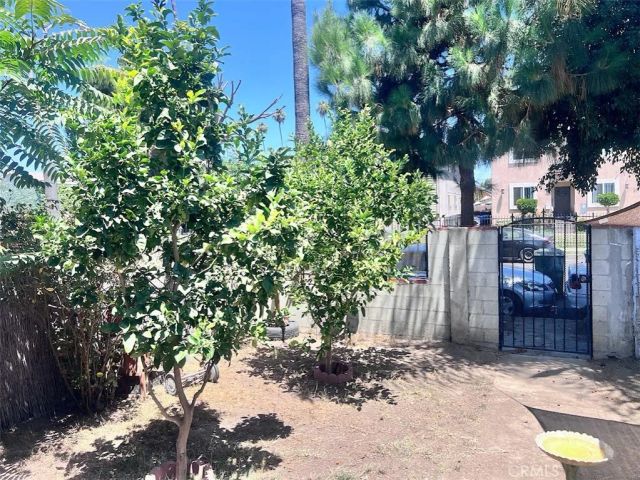 314 W 66th, Los Angeles, CA 90003