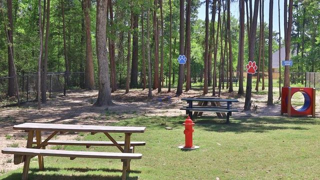 397 Mulberry Creek Street, Conroe, TX 77304