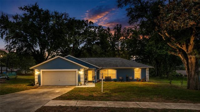 12500 DRAW DRIVE, Grand Island, FL 32735