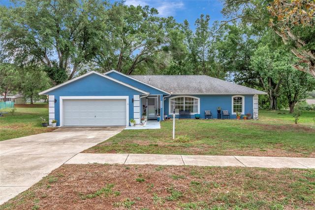 12500 DRAW DRIVE, Grand Island, FL 32735