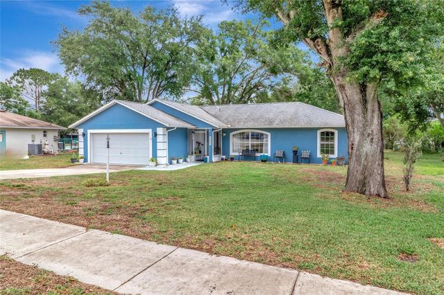 12500 DRAW DRIVE, Grand Island, FL 32735