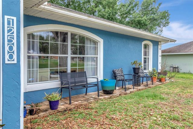 12500 DRAW DRIVE, Grand Island, FL 32735