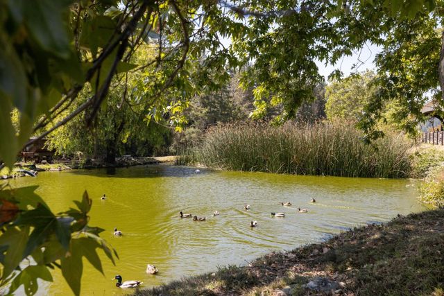 185 Sylvan Way, Felton, CA 95018