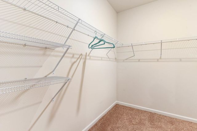 609 Strawberry Field Way, Galivants Ferry, SC 29544