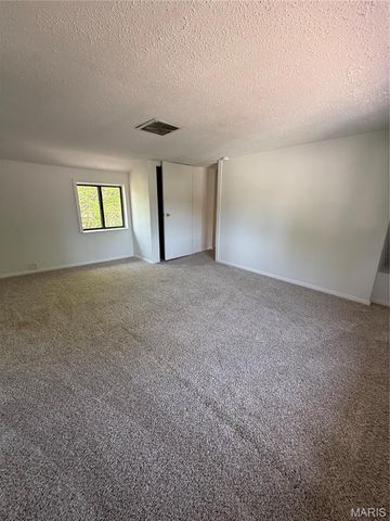 701 Forster Street, Farmington, MO 63640