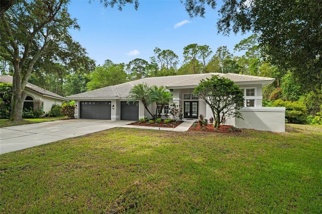 3951 BRIGHTSIDE LANE, Palm Harbor, FL 34685