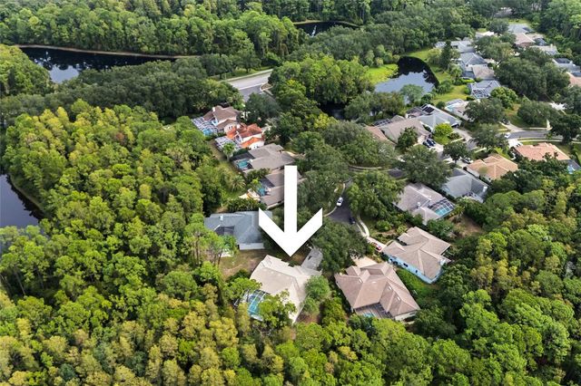 3951 BRIGHTSIDE LANE, Palm Harbor, FL 34685