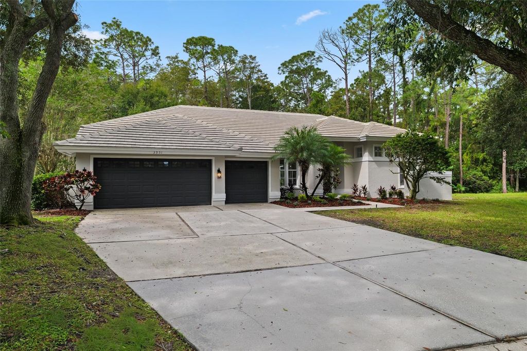 3951 BRIGHTSIDE LANE, Palm Harbor, FL 34685