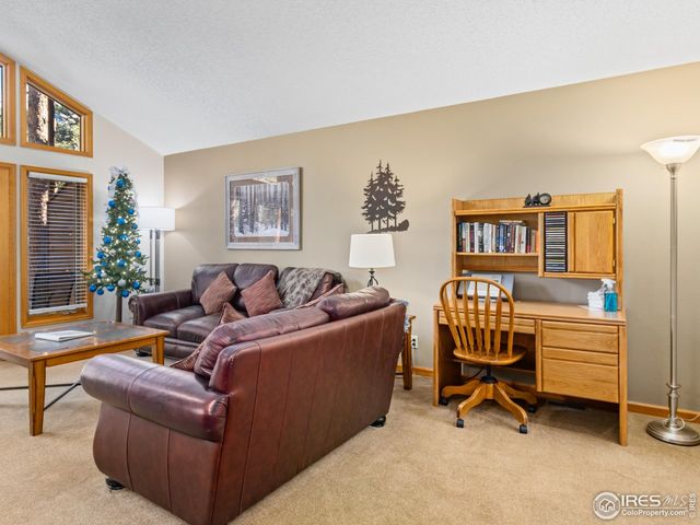 525 Fall River Ln 6, Estes Park, CO 80517