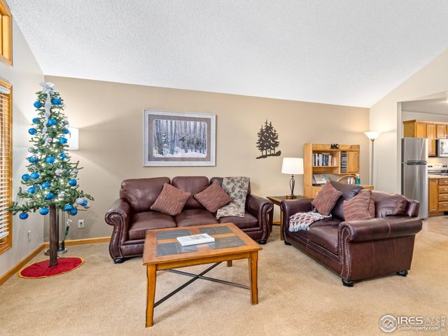 525 Fall River Ln 6, Estes Park, CO 80517