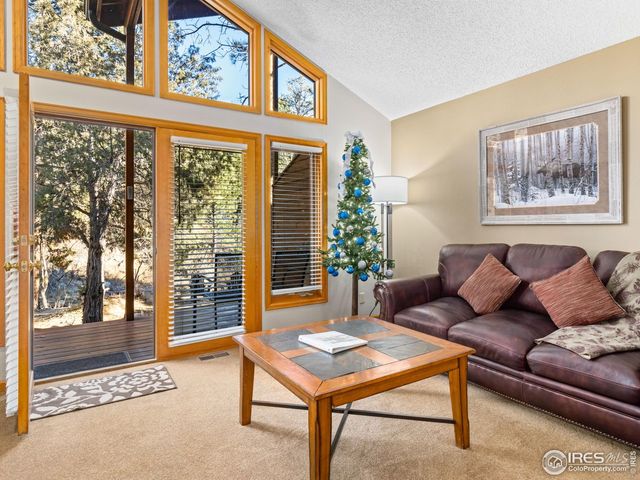 525 Fall River Ln 6, Estes Park, CO 80517