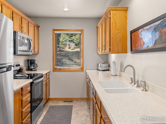 525 Fall River Ln 6, Estes Park, CO 80517