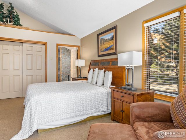 525 Fall River Ln 6, Estes Park, CO 80517