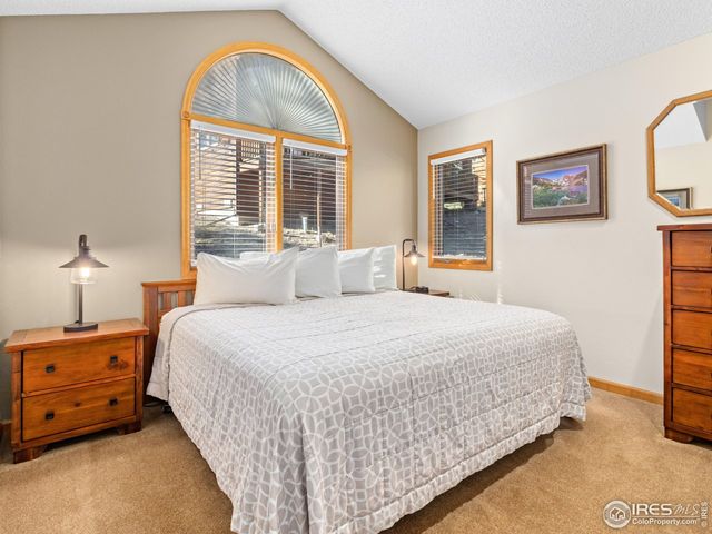 525 Fall River Ln 6, Estes Park, CO 80517