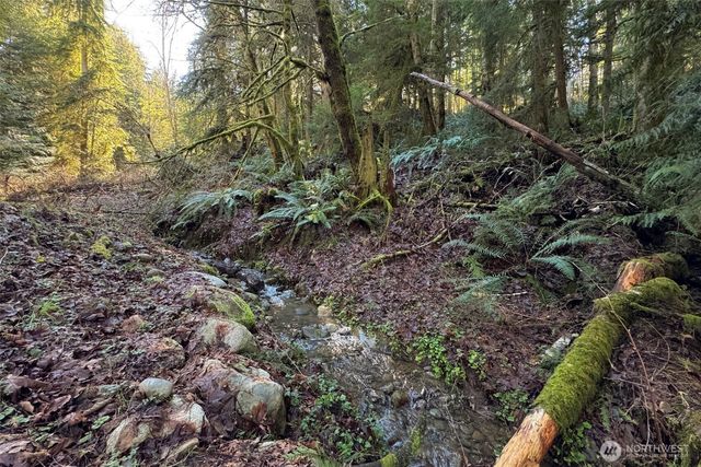 276 Watershed Road, Port Angeles, WA 98362