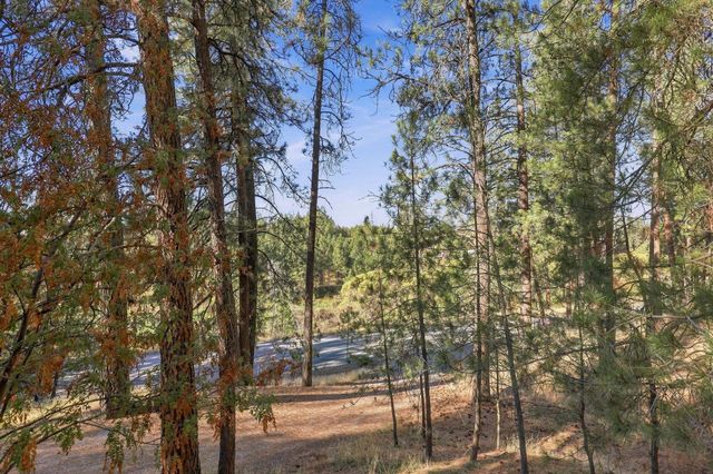 310 N Deep Creek Rd, Medical Lake, WA 99022
