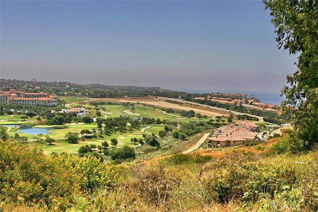 25462 Evans Pointe, Dana Point, CA 92629