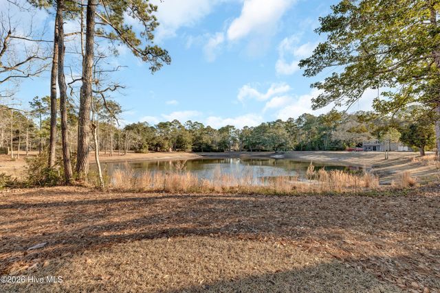 233 Hampton Court, Hampstead, NC 28443