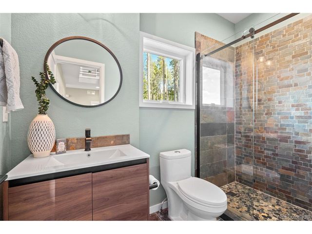 6783 Snowshoe Trl, Evergreen, CO 80439