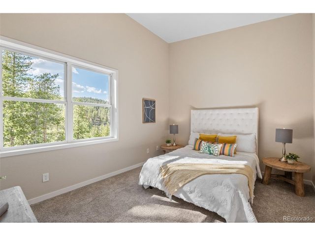 6783 Snowshoe Trl, Evergreen, CO 80439