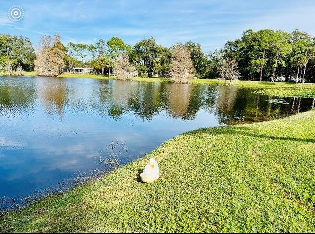 5345 AVON COURT, Orlando, FL 32807