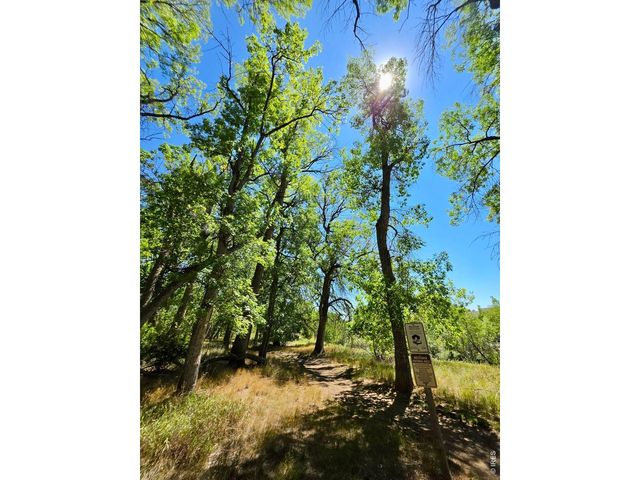 2421 Owens Ave 101, Fort Collins, CO 80528