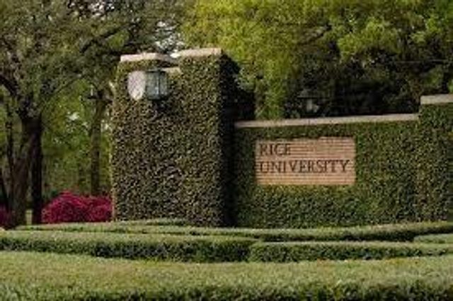 3409 Ovids Orchard Drive, Houston, TX 77025