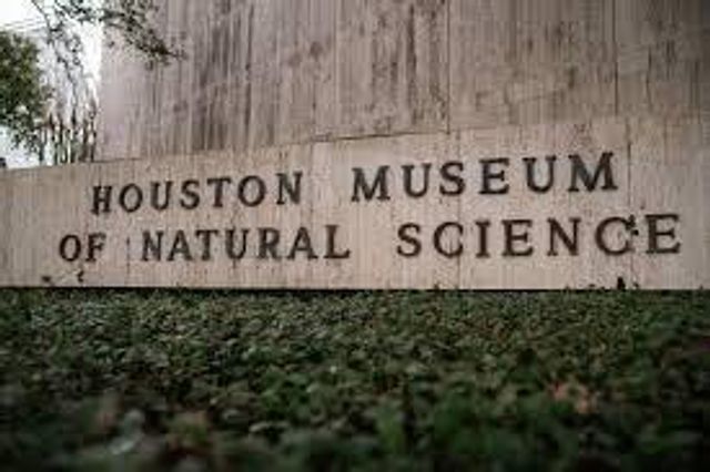 3409 Ovids Orchard Drive, Houston, TX 77025