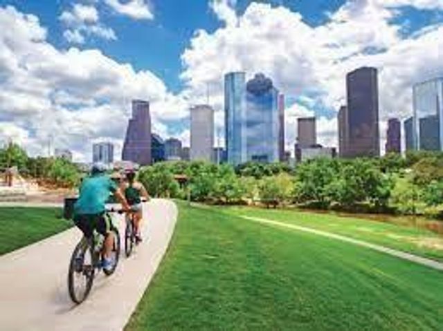 3409 Ovids Orchard Drive, Houston, TX 77025
