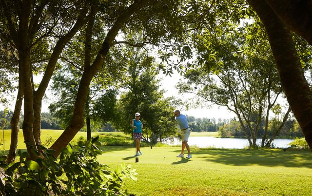 264 Pollard Cove East Lot 123, Watersound, FL 32461