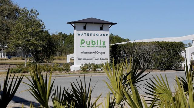 264 Pollard Cove East Lot 123, Watersound, FL 32461