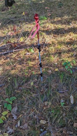 5505 Ham Holly Drive, Stone Lake, WI 54876