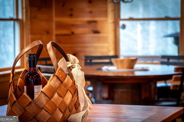 850 Mountain Lake Circle, Blue Ridge, GA 30513